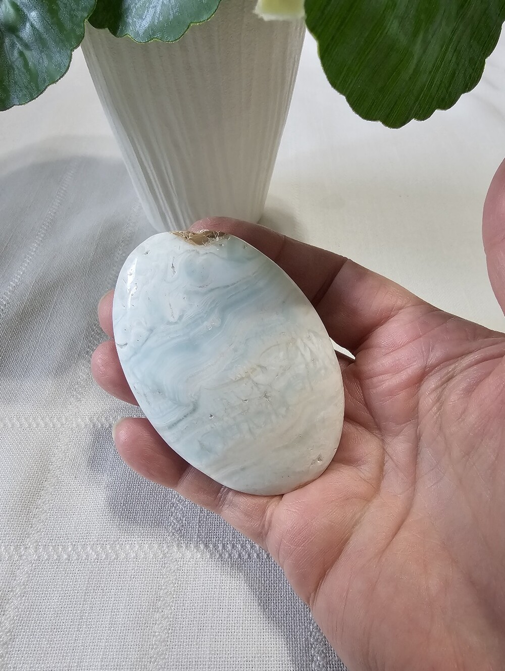 Caribbean Calcite Palmstone